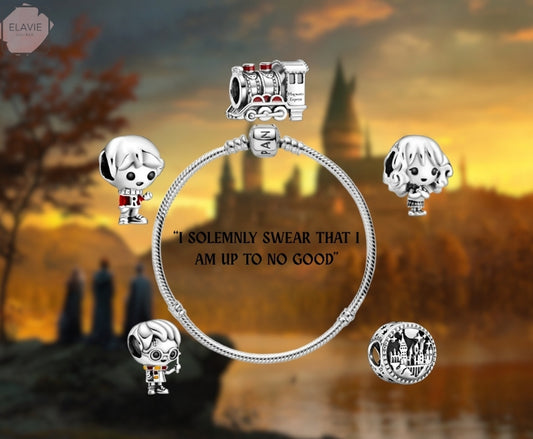 Pack Pulsera Charm Howard 🧙‍♂️